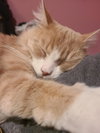 Norbert - Photo 4