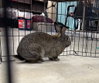 Wendell - Photo 2