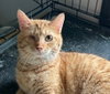Koby - Photo 1