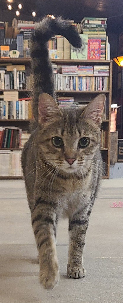Omi, photo 4