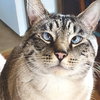 Apple - Photo 7