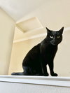 Micaela - Photo 7