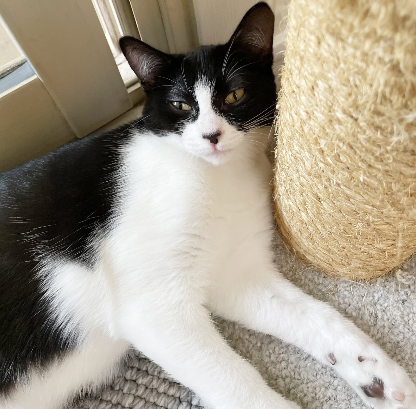 Dottie, photo 11