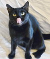 Elvira - Photo 3