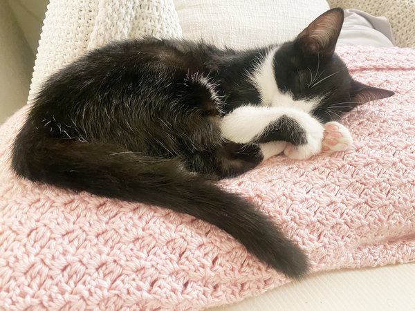 Figaro