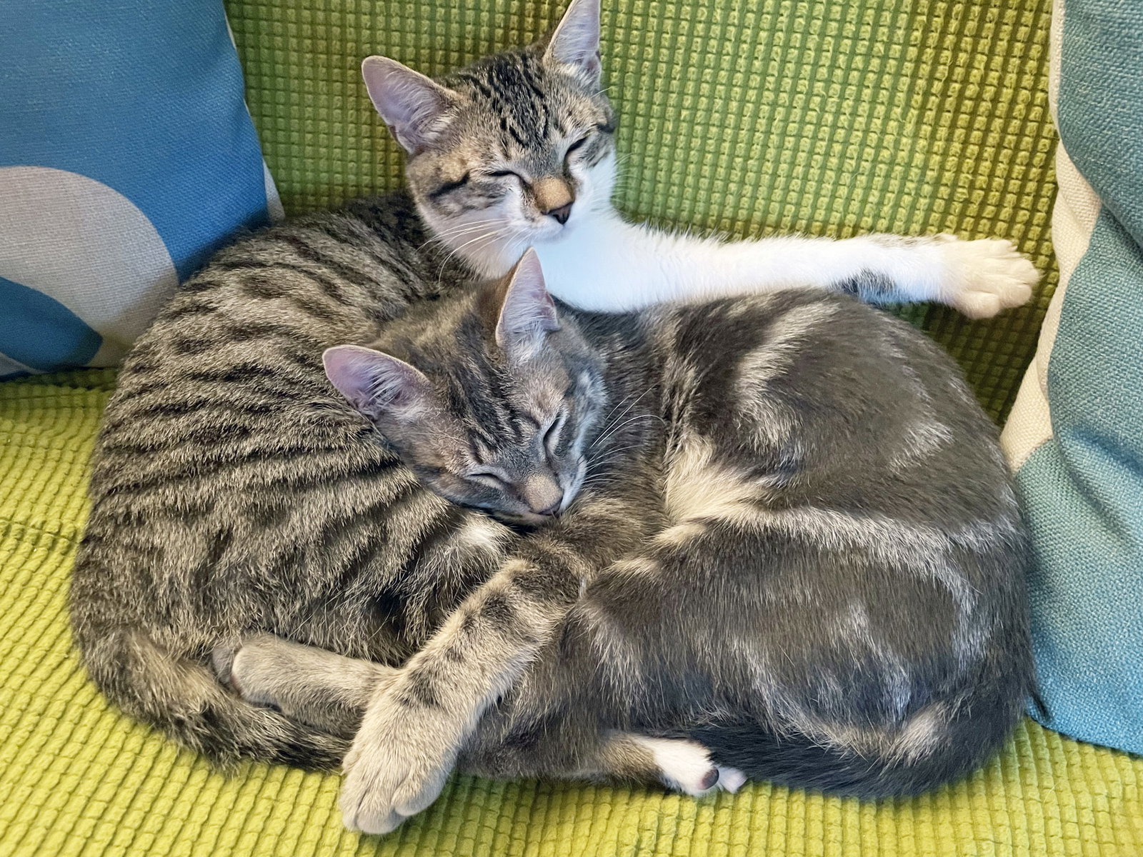 Sunny, photo 7