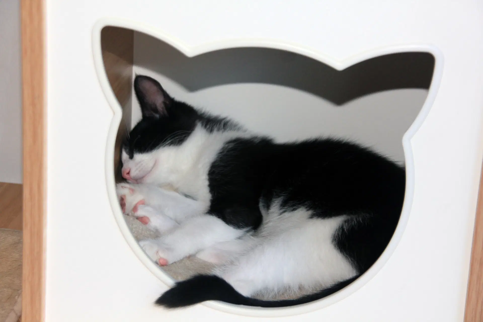 Pip Ii image 4