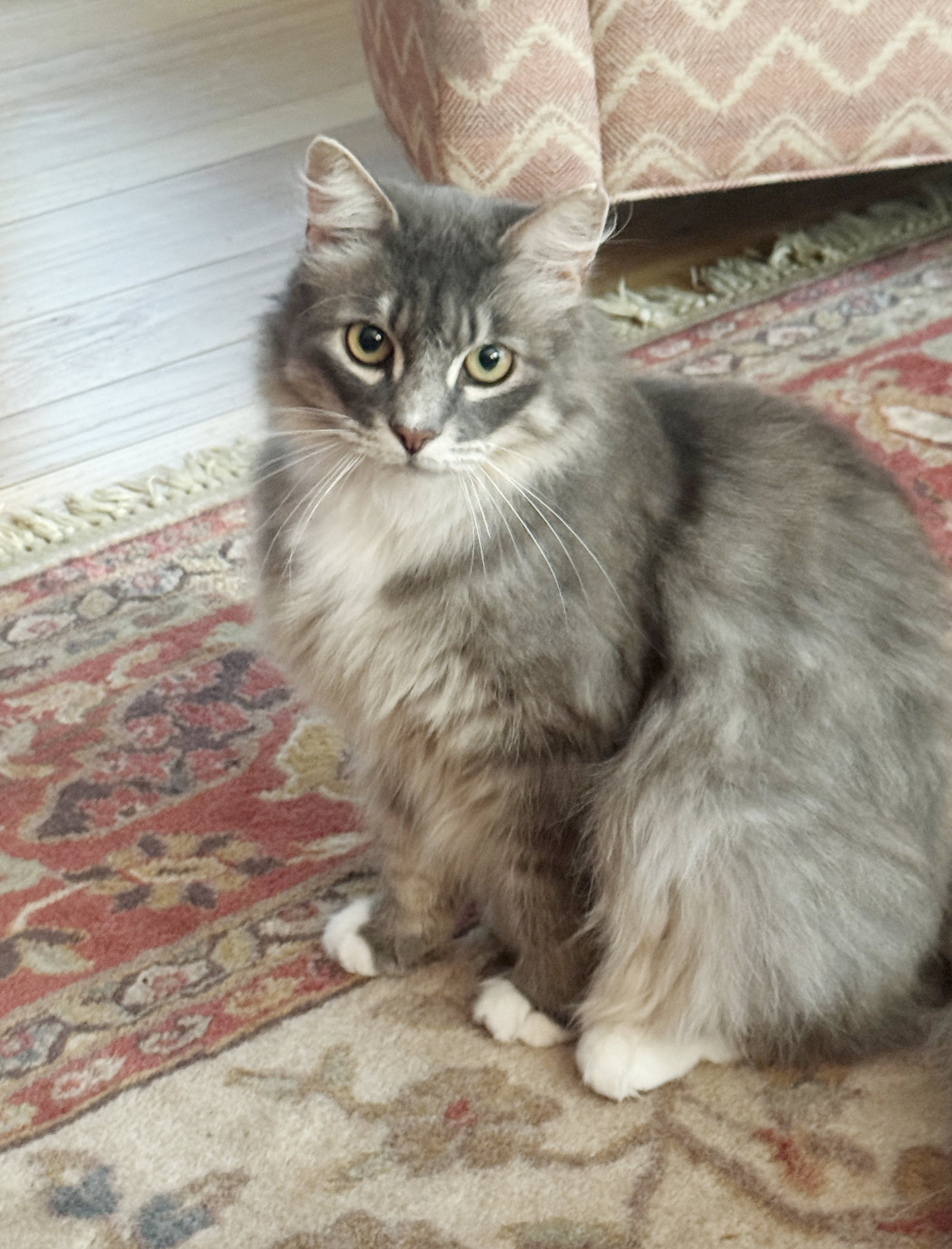 Tucker, photo 5