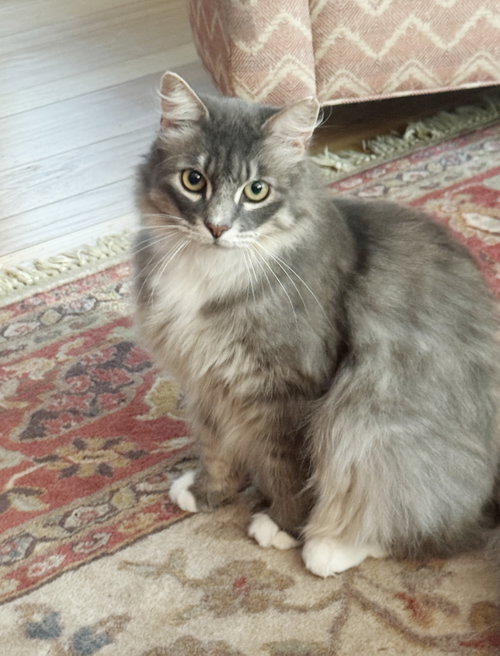 Tucker photo 3