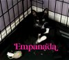 adoptable Cat in  named Kitten: Empanada