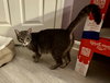 Momma Juice - Photo 2