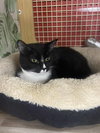 Momma Persephone - Photo 3