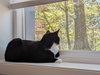 Momma Persephone - Photo 4