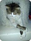 George - Photo 6