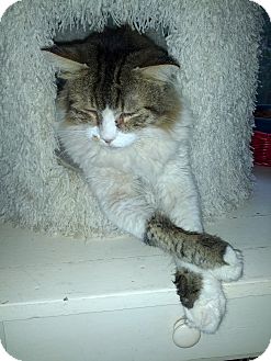 Photo 6 of George