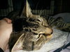 John - Photo 4