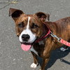 Sally - Photo 2