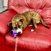 Sally - Photo 2