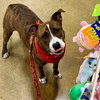 Sally - Photo 3
