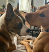 Barry - Photo 2