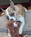 Barry - Photo 3