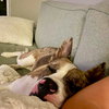 Barry - Photo 4