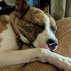Barry - Photo 2