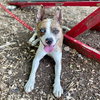 Barry - Photo 4