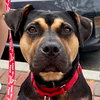 Molly - Photo 1