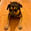 Molly - Photo 3
