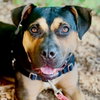 Molly - Photo 1