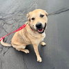 Cash - Photo 4