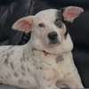 Nora - Photo 1