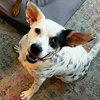 Nora - Photo 3