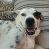 Nora - Photo 4