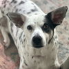 Nora - Photo 4