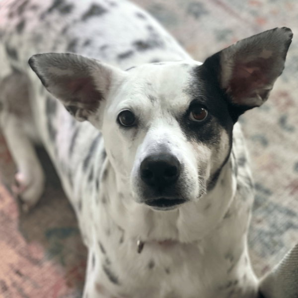 Nora