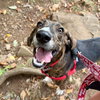 Todd - Photo 3