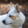 Juno - Photo 3