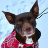 Loki - Photo 1