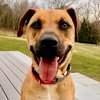 Scooby - Photo 2