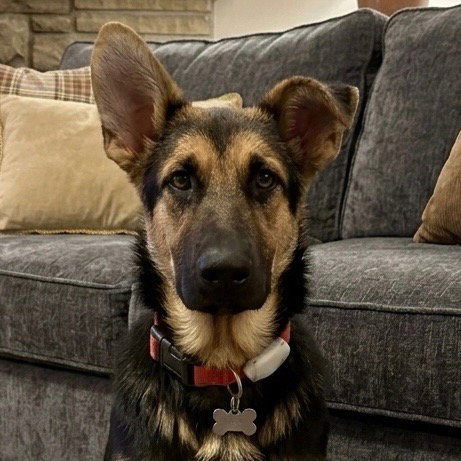 Bella3