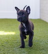 Baby - Photo 3