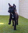 Baby - Photo 4