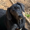 Bodine - Photo 1