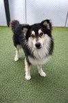 Borksy - Photo 2
