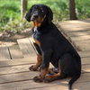 Jed - Photo 2