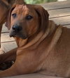 Jethro - Photo 2