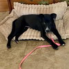 Jettie - Photo 2