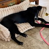 Jettie - Photo 3